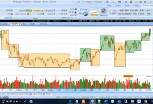 דוגמא של תוכנת המניות